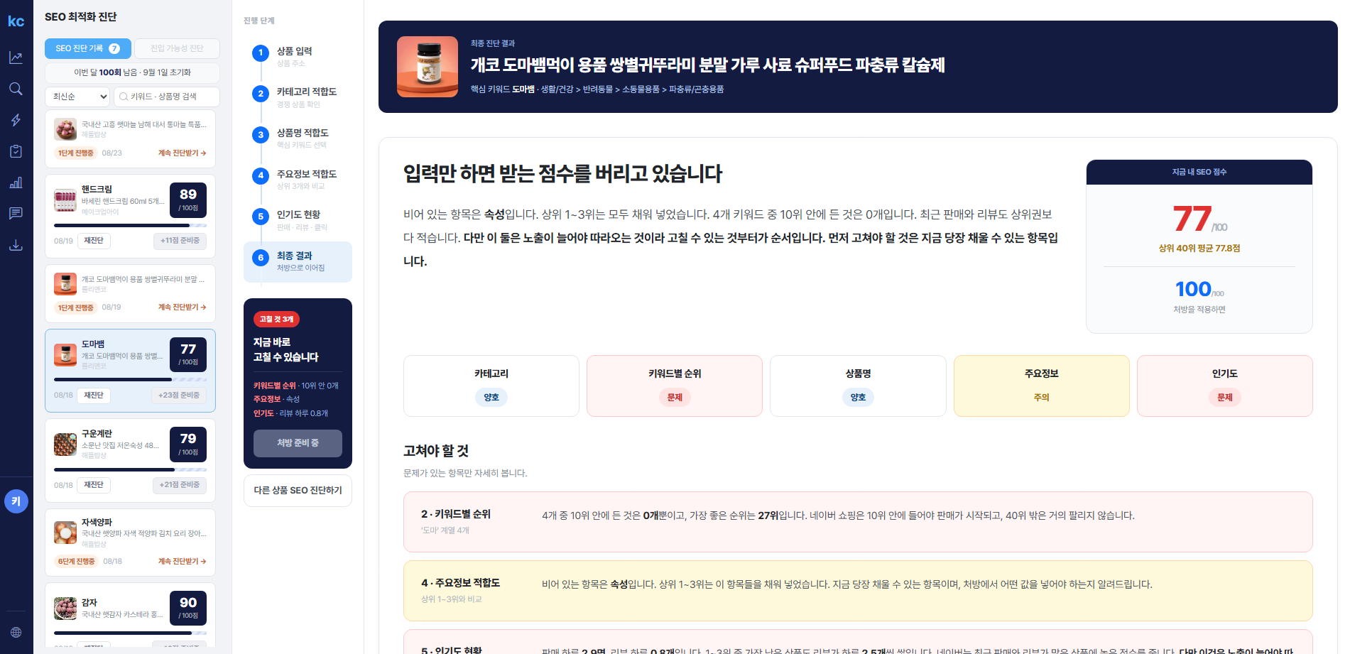 SEO 최적화 진단 리포트 화면